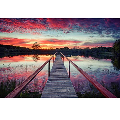 image for Hoshell_Home DIY 5D Diamond Painting Kit, Hoshell Full Diamond Flower 