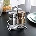 Salt and Pepper Shakers with Stand, Elegant Stainless Steel Salt and Pepper Dispenser with Adjustable Pour Holes