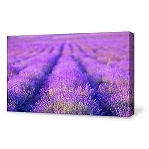 Canvas Wall Art for Living Room,Bedroom Home Artwork Paintings Romantic Lavender Ready to Hang - 12x18 inches