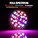 Grow Light Bulb, PATHONOR Pack of 4 Upgraded Full Spectrum 28W E27/ E26 LED Grow Light Bulbs with 1 Adapter Cable, Grow Plant Light Bulb for Hydroponics Greenhouse Organic Succulent Flowers Vegetable
