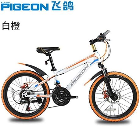 Bicycle Commute 20 inches fold convenient Pedal PIGEON Mountain bike FG668