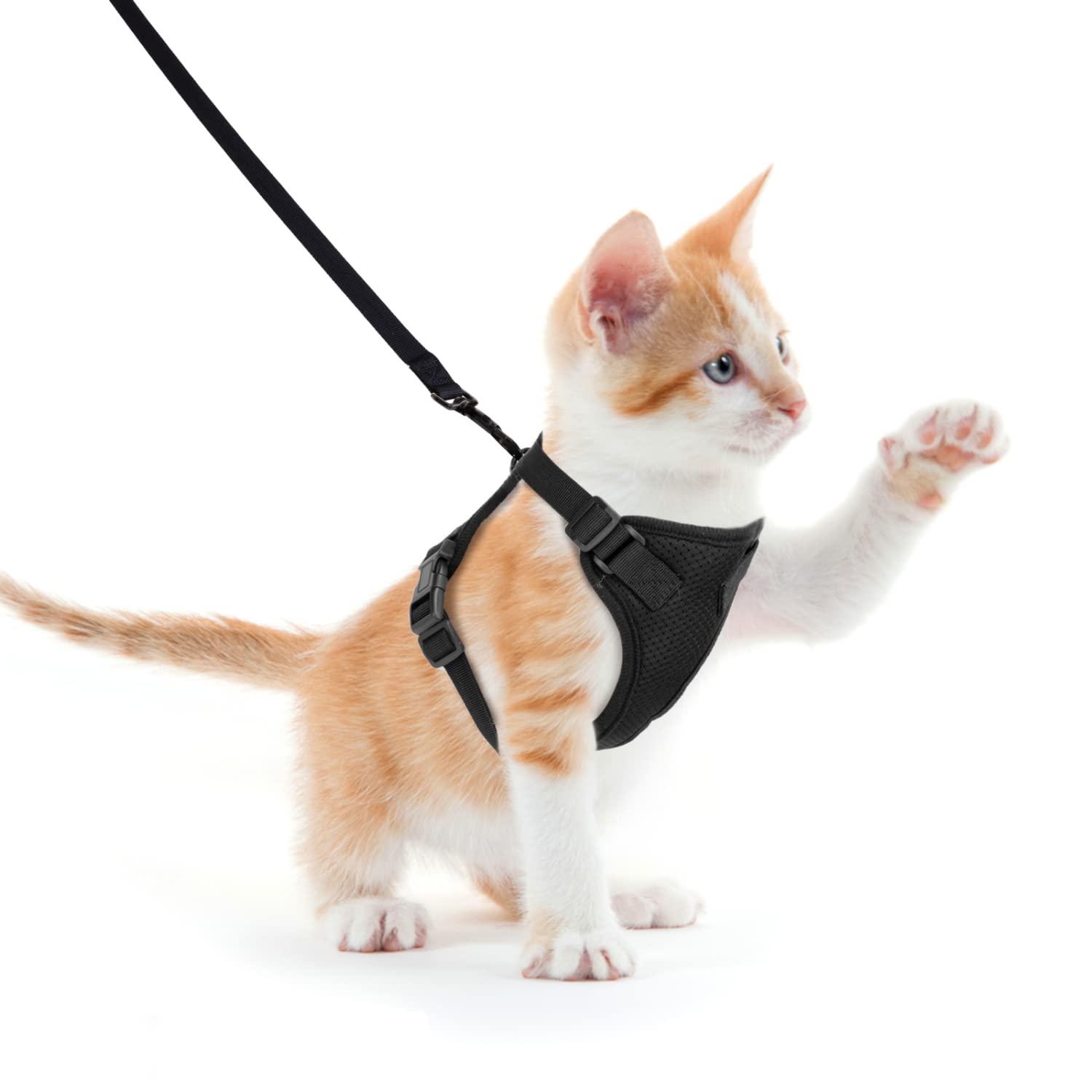 Nobleza Rabbit Harness with Leash Set (black, Chest Girth 21-27cm)