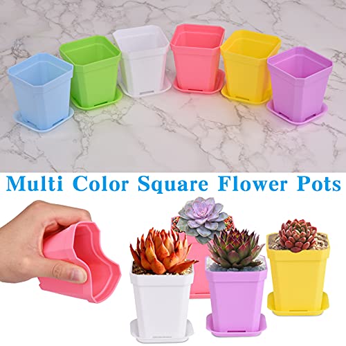 30Pack Square Plastic Plant Pots with Drainage Holes, Mini Flower Pots