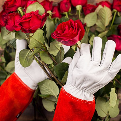NoCry Long Leather Rose Gardening Gloves for Women and Men, Puncture eBay