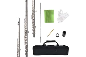 HOGSN flute 16-hole closed-hole C-tone nickel-plated, beginner to play graded flute, with box and cleaning kit.