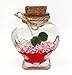 Luffy Marimo Ball Gift Set: Marimo Plant Symbolizes Love - Includes a Heart Shaped Bottle - Increase your Love with this small DIY project (packaging material included) - Perfect for someone Special