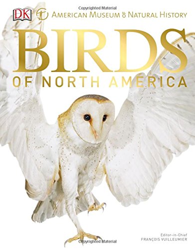 American Museum of Natural History Birds of North AmericaFrom Ingramcontent American Museum of Natural History Birds of North AmericaFrom Ingramcontent