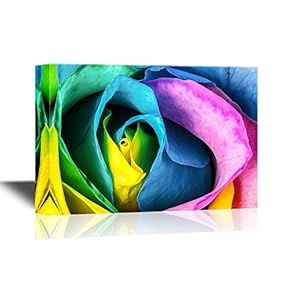 Floral Canvas Wall Art - Rainbow Color Rose Flower - Gallery Wrap Modern Home Art | Ready to Hang - 12x18 inches