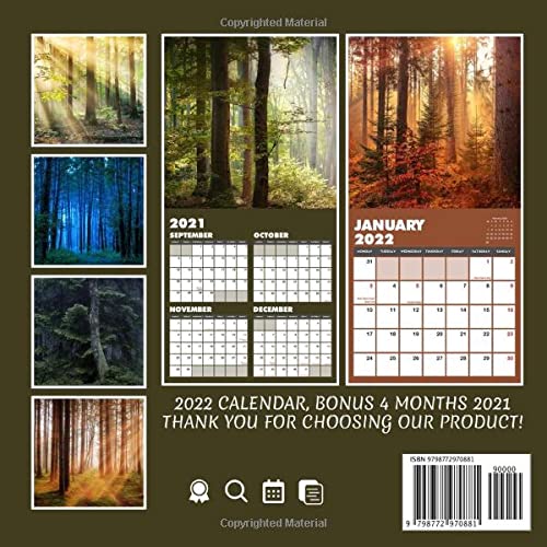Deep Forest Calendar 2022: Nature Calendar 2022 December 2022 Official 12 Months| - December 2022 Official 12 Months | Bonus 4 Months 2021| Kalendar Calendario Calendrier: Linda, Linda: 9798772970881: Amazon.com: Books