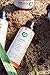 ecoLove - Natural Shampoo, Sodium lauryl sulfate Free, Vegan & Cruelty Free Shampoo, Natural Dry Shampoo for Women, Organic Carrot and Pumpkin Shampoo, No SLS or Parabens, 17.6 oz