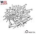 Finger Ten Golf Tees 2 3/4 inch Wood Color Bulk 250 500 1000 Count, with Free Deluxe Golf Tee Holder and Ball Marker for Men Women Kids