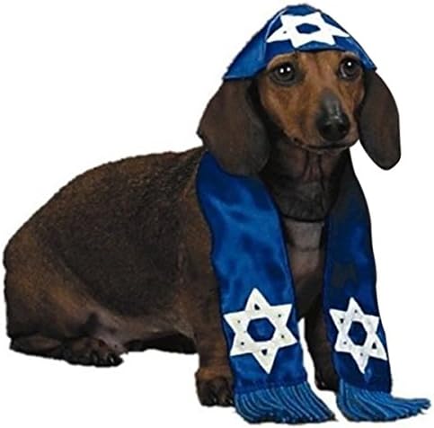 Pup Shalom Pet Costume (Small)