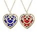 GUAngqi The Legend of Zelda Skyward Sword Heart Container Cosplay Pendant Necklace 2 Colors