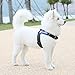 Dog Harness, Dog Vest Harness X Large Soft Pet Harness Durable Black with Handle and 2 D Ring for Large Dog