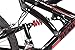 Tetran Wildland – 26 Inch Mountain Bike, Alloy Frame, Rims, and Suspensions, 21 Speed with Shimano Tourney, Unisex, White/Blue and Black/Red (Black/Red)thumb 4