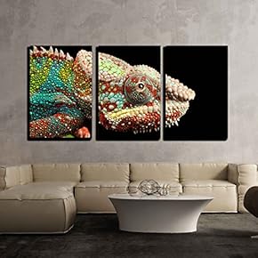 3 Piece Canvas Wall Art - Blue Bar Chameleon Close Up - Modern Home Art Stretched and Framed Ready to Hang - 16"x24"x3 Panels