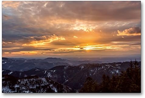 foro a vista per 17 hmr