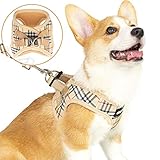 CHERPET Puppy Harness and Leash Set - Plaid Cute Adjustable Small Dog Fulll Body Vest Escape Proof Safety No Pull Halter Mesh Breathable Soft for Easy Walk Outdoor,Comfort Fit Kittens Small Animals