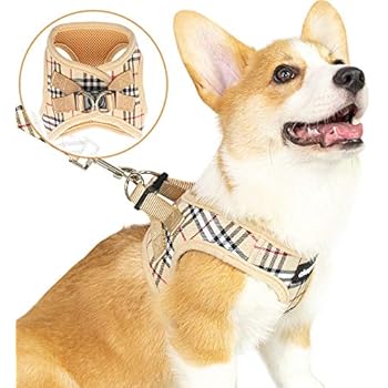 CHERPET Puppy Harness and Leash Set - Plaid Cute Adjustable Small Dog Fulll Body Vest Escape Proof Safety No Pull Halter Mesh Breathable Soft for Easy Walk Outdoor,Comfort Fit Kittens Small Animals