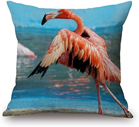 Crane Pillow Shams 20 X 20 Inches / 50 By 50 Cm Best Choice For Teens Girls Relatives Lounge Car Husband Club With Twice Sides