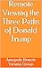 Remote Viewing the Three Paths of Donald Trump