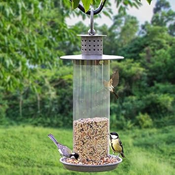The Balcony Of The Bird Feeder Water Feeder Trough Bird Bird