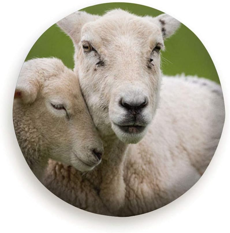 huagu Two White Sheep Animals Wildlife Polyester Waterproof Spare Tire Cover Wheel Covers Universal Tires Protectors