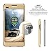 Zizo ION Series Compatible with LG V20 Case Military Grade Drop Tested with Tempered Glass Screen Protector Gold Clear