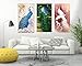 TOCARE Large Diamond Painting Kits for Adults Peacock,Large Diamond Art Kits for Adults 15.7x23.6Inch for Home Wall Decor