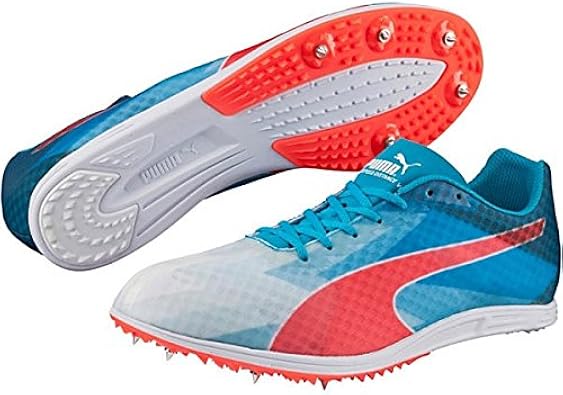 puma evospeed distance