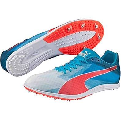 puma evospeed distance