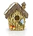 Dawhud Direct Hanging Bird Houses for Outside, Hand-Painted Bird Houses for Outdoors Decorative Birdhouses (Butterfly and Mushrooms) Solid Made for Bluebirds, Sparrows, Chickadees and Purple Martins
