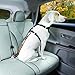 Kurgo Direct to Seatbelt Tether - Easy-Use Dog Car Harness Clip - Adjustable Ride Strap - Universal Fit for Most Vehicles - All Steel Hardware - Backseat Restraint - Orange