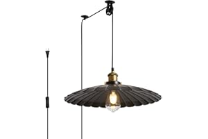 Oyisen Plug in Pendant Light,15.7 Inch Retro Black Metal Shade Hanging Lights with Plug in Cord On/Off Switch Dining Room Hallway Hanging Lamp for Farmhouse