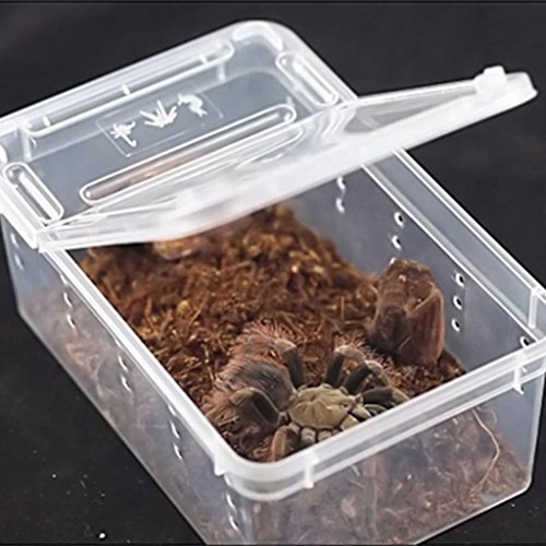 SoundsBeauty Transparent Plastic Amphibian Insect Reptile Breeding Box Transport Feeding Case