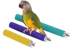 PINVNBY PIVBY Wood Bird Cage Perch Colorful Parrot Stand Toy Platform Paw Grinding Stick for Small Medium-Sized Bird Parakeet Cockatiel Conure Budgies Lovebird inches and Canary Colors Vary Pack of 3
