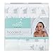 aden by aden + anais hooded towel, baby star