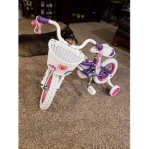 JOYSTAR 16 Inch Kids Bike with Streamer Basket & Training Wheels for 4-6 Years Girls