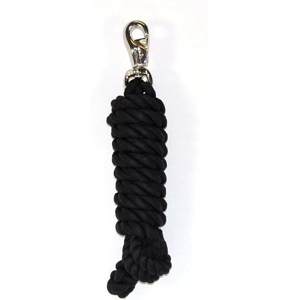 thumbnail image 2 of Intrepid International 8SB13 Poly Lead Rope With Solid Brass Snap 2 of 11