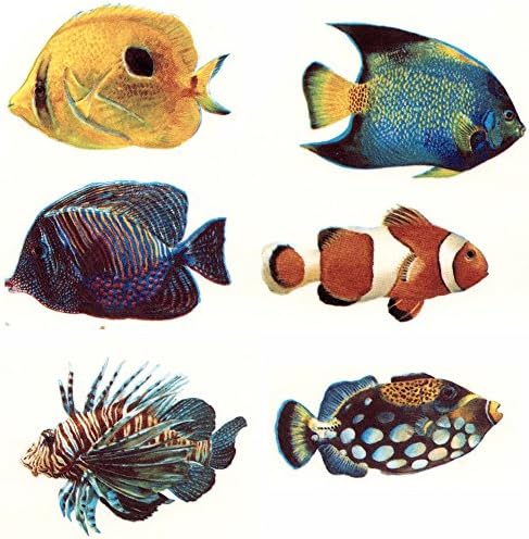Tropical Fish 70184A/10 Waterslide Ceramic Decals By The Sheet (1-1/2" 24 pcs)