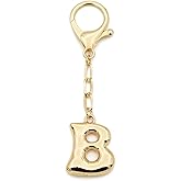 TTYY Initial Keychain For Women Handbag Charms Backpack Car Keyring for Sister Besties Mom Gold Letter Keychain