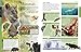 The New Children's Encyclopedia: With More Than 4,000 Indexed Entries and 2,500 Full-Color Illustrations