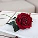 Kinghard 5 Pcs Artificial Silk Fake Flowers Rose Flower Wedding Bouquet Party Home Decor (Dark Red)