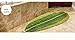 Luxbon Green Leaf Shaped Oval Bathmat Living Room Carpet Bedroom Rug Washable Rugs Home Decorator Floor Rug and Carpets(27.5