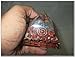 Jet International Exquisite A++ Red Jasper Flower of Life Chakra Orgone Pyramid Crystal Gemstones Copper Metal Mix Rare Healing Positive Energy Tetrahedron Sacred Geometry Memory