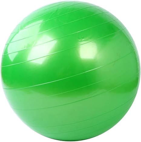 CRSM 55Cm Glossy Fitness Ball Pelota De Yoga Sports Yoga Ball ...