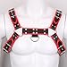 iiniim Men's Faux Leather Body Chest Harness Belt with Buckles D-Rings Adjustable (One Size, Black&Red #2)
