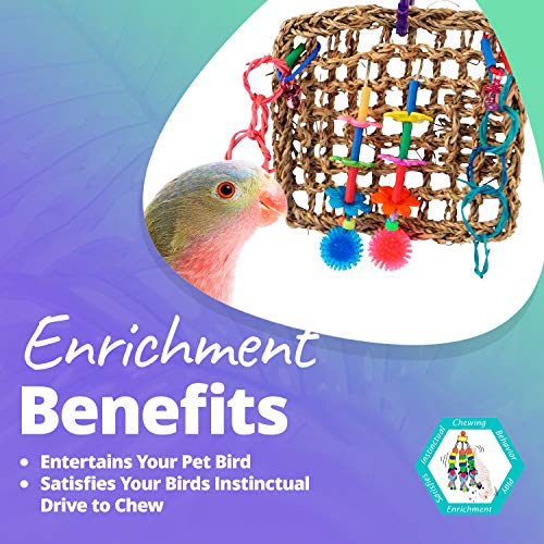 3 Super+Bird+Creations+Activity+Birds