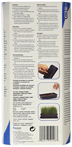 Catit Cat Grass - Image 2