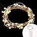 Lighting EVER 16 Pack Fairy Lights Battery Operated, 20 LED Mini String Lights Waterproof Small Pixie Lights for Mason Jars, Crafts, DIY Wedding Party Centerpieces, Bedroom Wall Vines, Holiday Garland